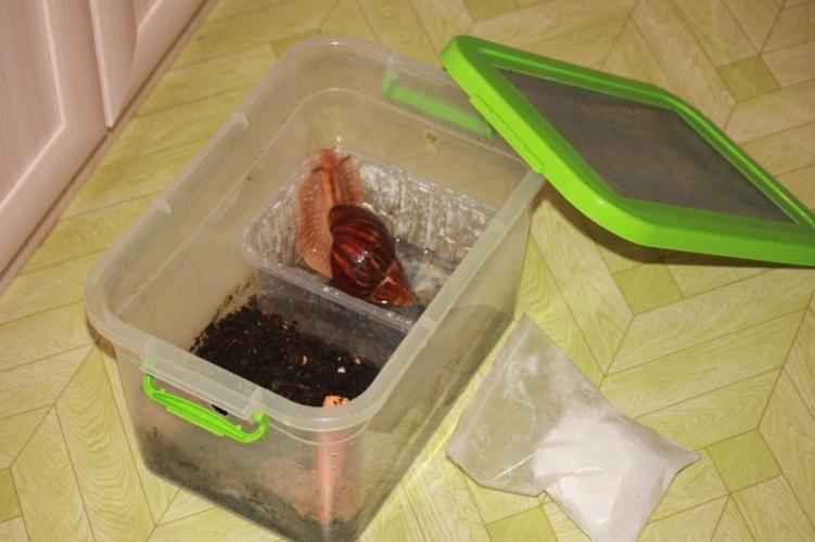 Круглый домик из бумаги своими руками Круглый домик из бумаги своими руками