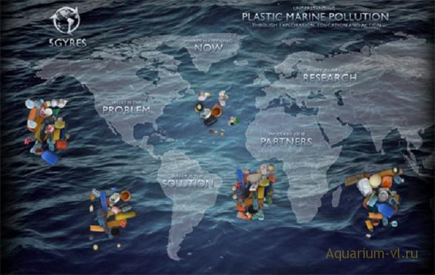 пластик в Мировом океане