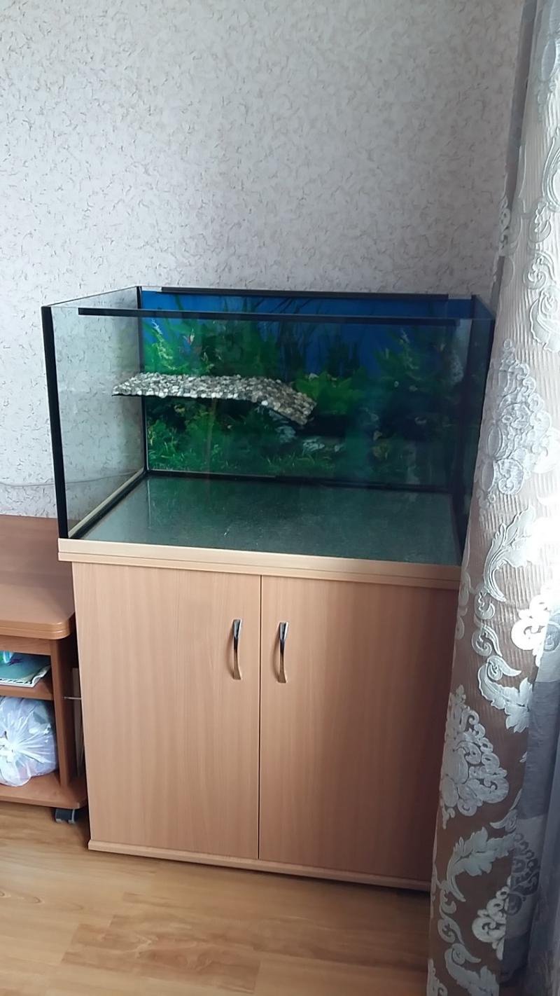 Аватарка на скайп для девушки Аватарка на скайп для девушки