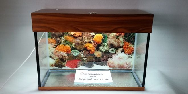 аквариум 105 литров