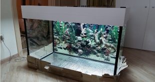аквариум 300 литров