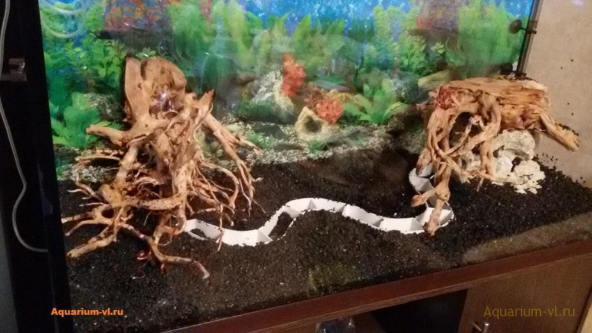 купленная коряга в аквариум