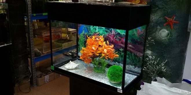 аквариум 60 литров сборка