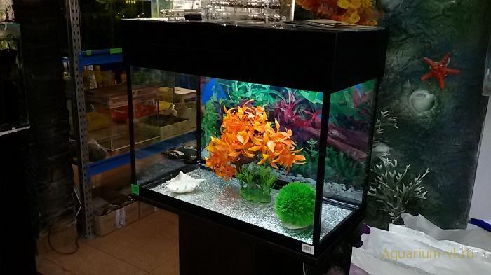 аквариум 60 литров вес