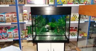 аквариум 80 литров сборка
