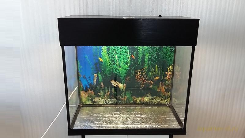 аквариум 60 80 литров