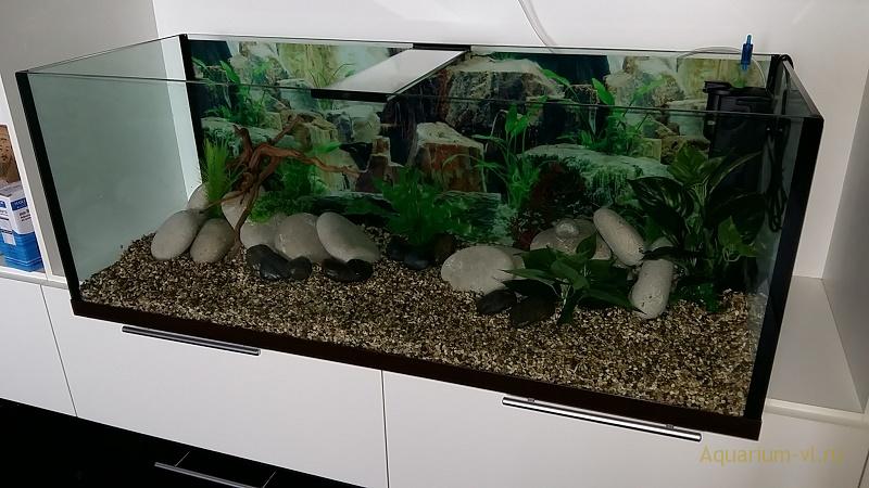 аквариум на 150 литров с рыбками