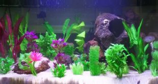 Искусственные растения аквариум