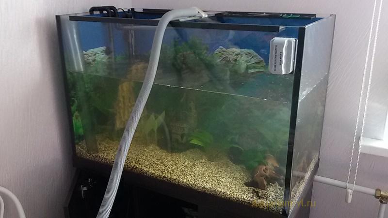 Объёмы подмен воды в аквариуме