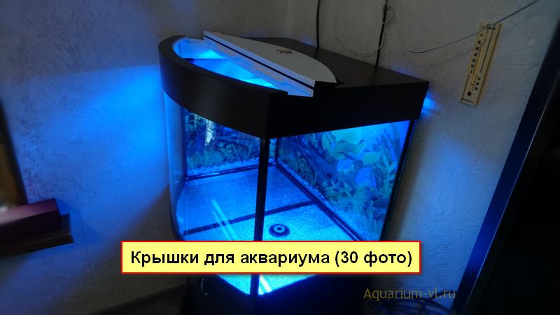 Главная | Аквариум по размерам