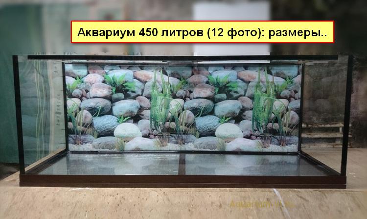 Аквариум Биодизайн (Biodesign) Altum 450 литров прямоугольный