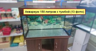 Купить аквариум 150 литров с тумбой