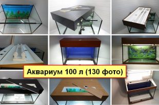 Фото аквариум 100 литров