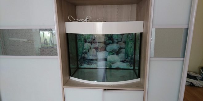 аквариум панорамный 200 литров