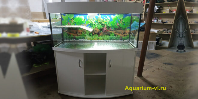 Панорамный аквариум 250 литров
